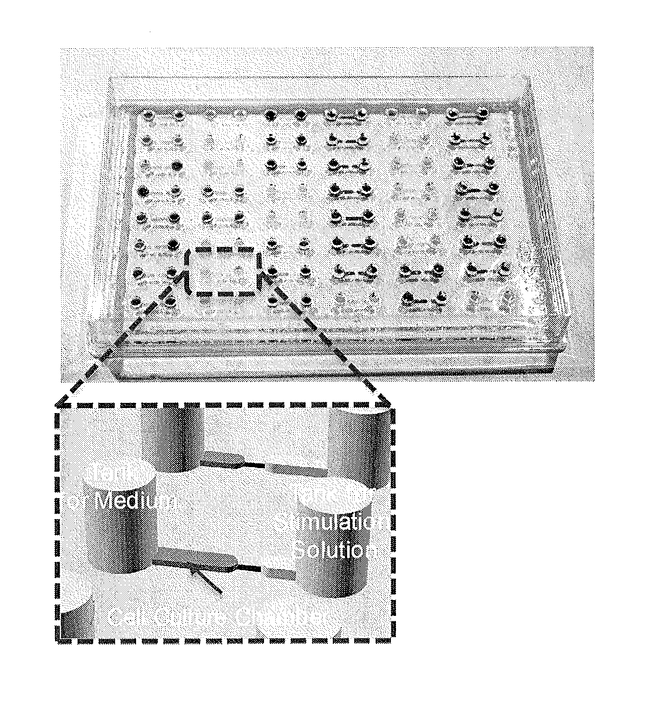 Microfluid device and three-dimensional microculture method for cell