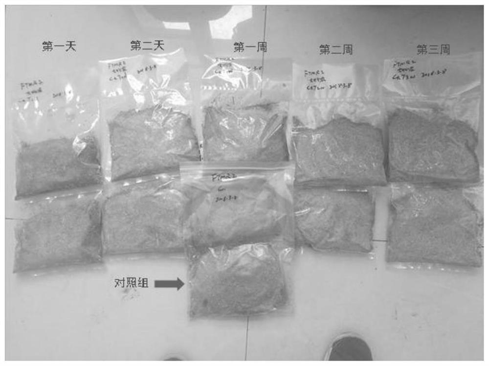 A mutton sheep fattening ftmr based on micro-storage rice straw and its preparation method