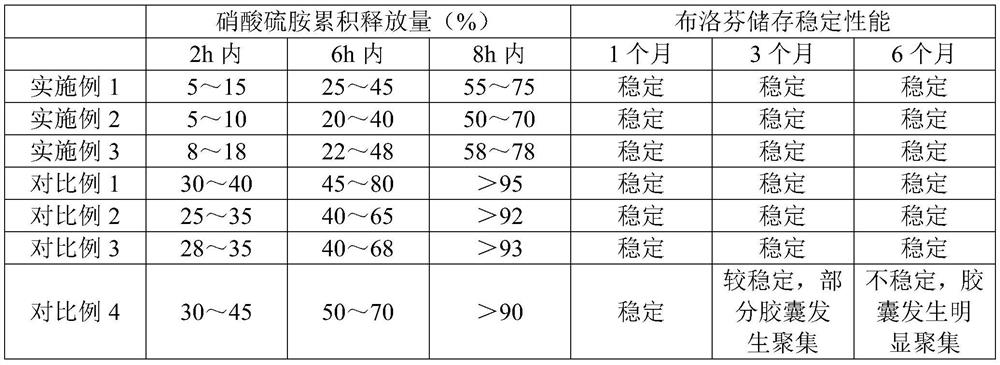 Thiamine nitrate sustained-release microcapsule and preparation method thereof