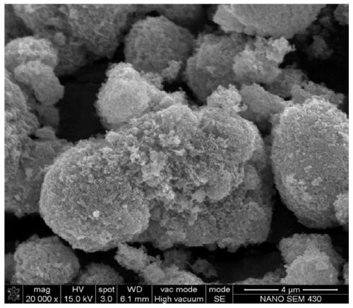 A kind of preparation method of spherical n-doped c-coated metal oxide negative electrode material with multi-level structure