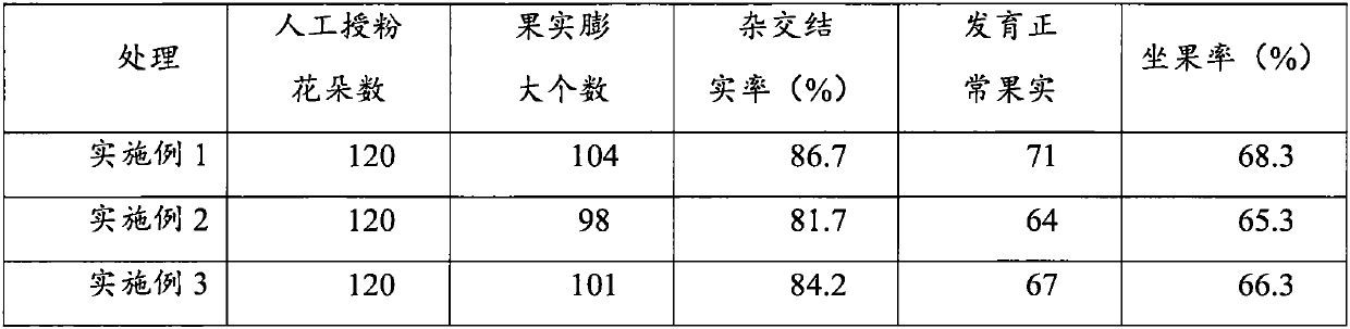 Emasculation and artificial pollination method for blueberry breeding