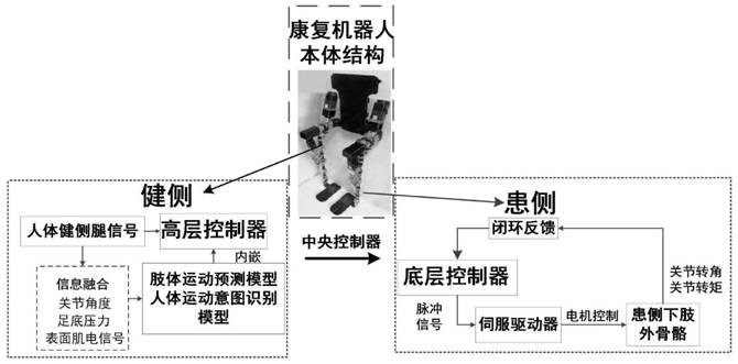 Control method of active stroke lower limb rehabilitation robot based on healthy and affected side coupling