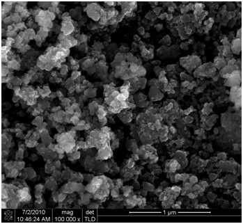 Method for preparing carbon-coated LiFePO4 anode material by using low-temperature solid-phase method