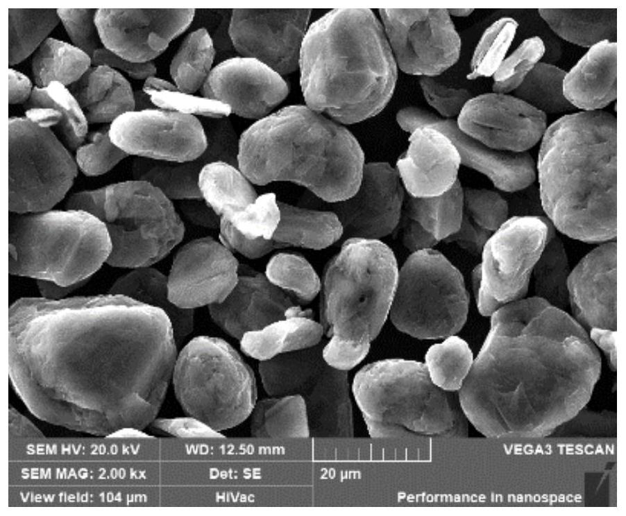 Graphite negative electrode material, preparation method thereof and lithium ion battery