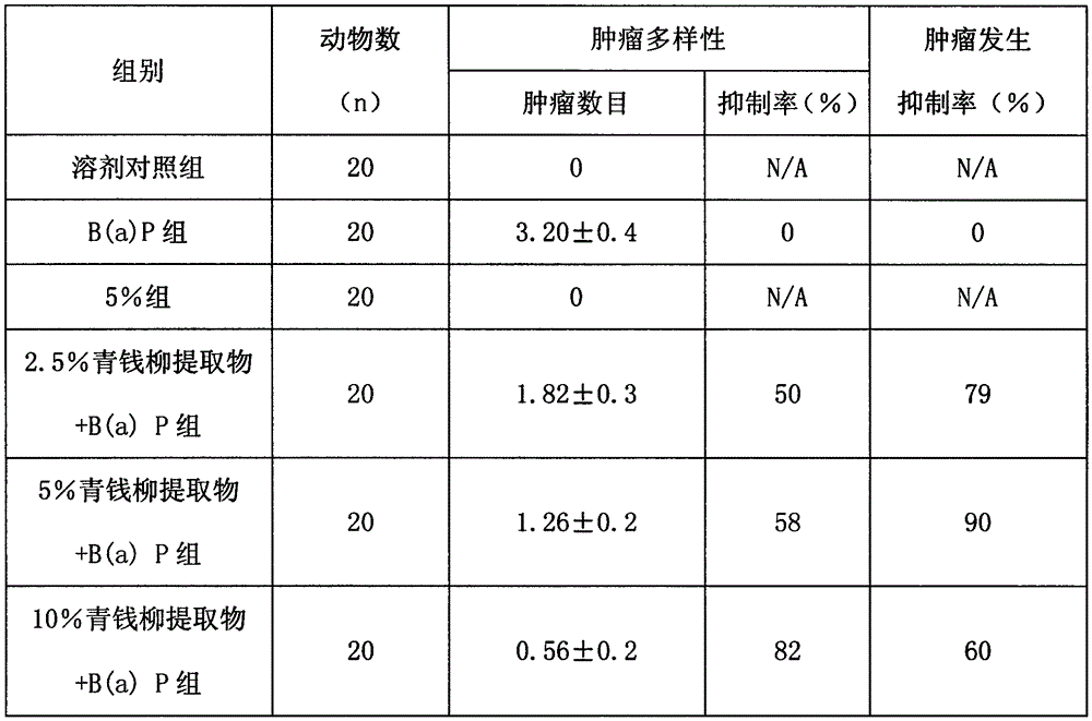 Application of cyclocarya paliurus extract in preparation of medicine for treating stomach cancer