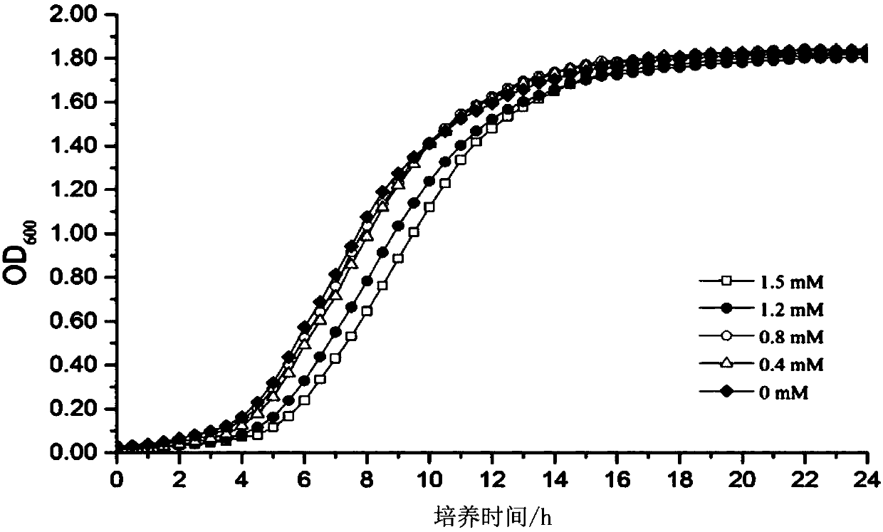 Lactobacillus plantarum reducing harms of frying oil and application of lactobacillus plantarum