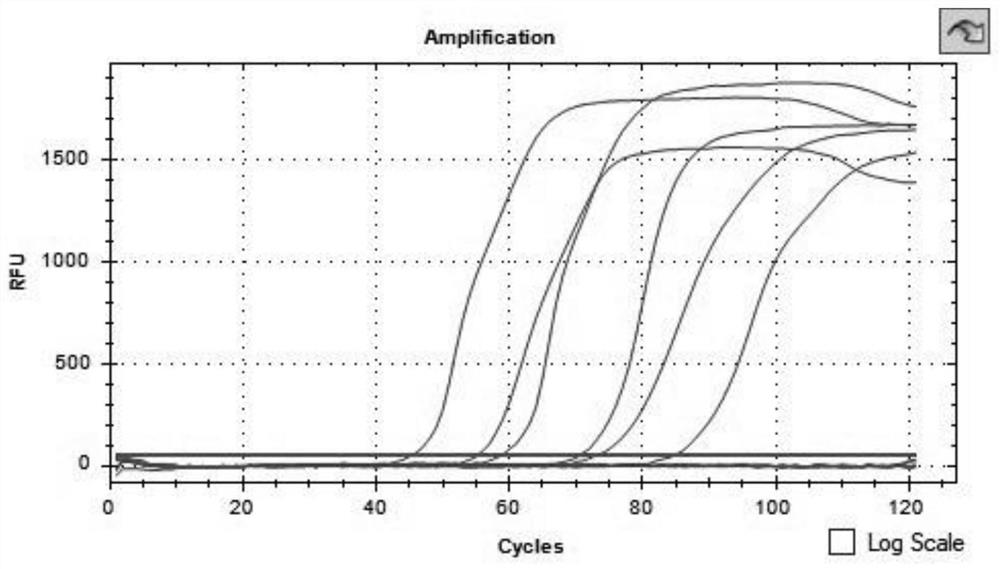 Primer group, kit and method for simultaneously detecting mycobacterium tuberculosis composite flora and rpoB gene mutation by LAMP