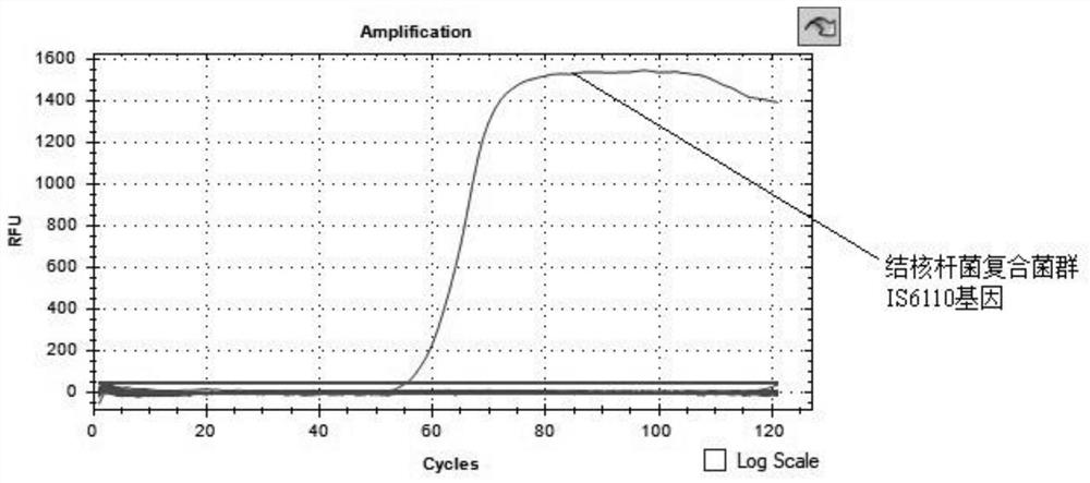 Primer group, kit and method for simultaneously detecting mycobacterium tuberculosis composite flora and rpoB gene mutation by LAMP