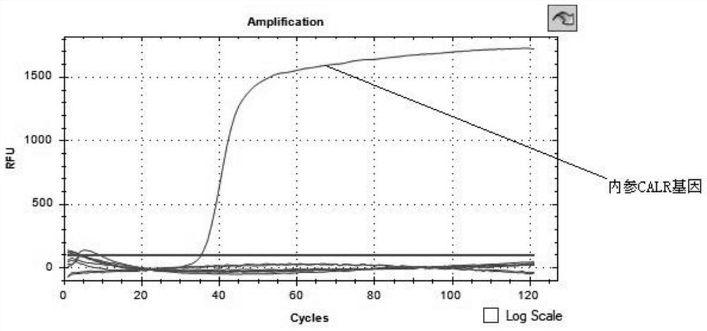 Primer group, kit and method for simultaneously detecting mycobacterium tuberculosis composite flora and rpoB gene mutation by LAMP