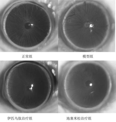 Application of polypeptide in medicine for treating eye inflammation