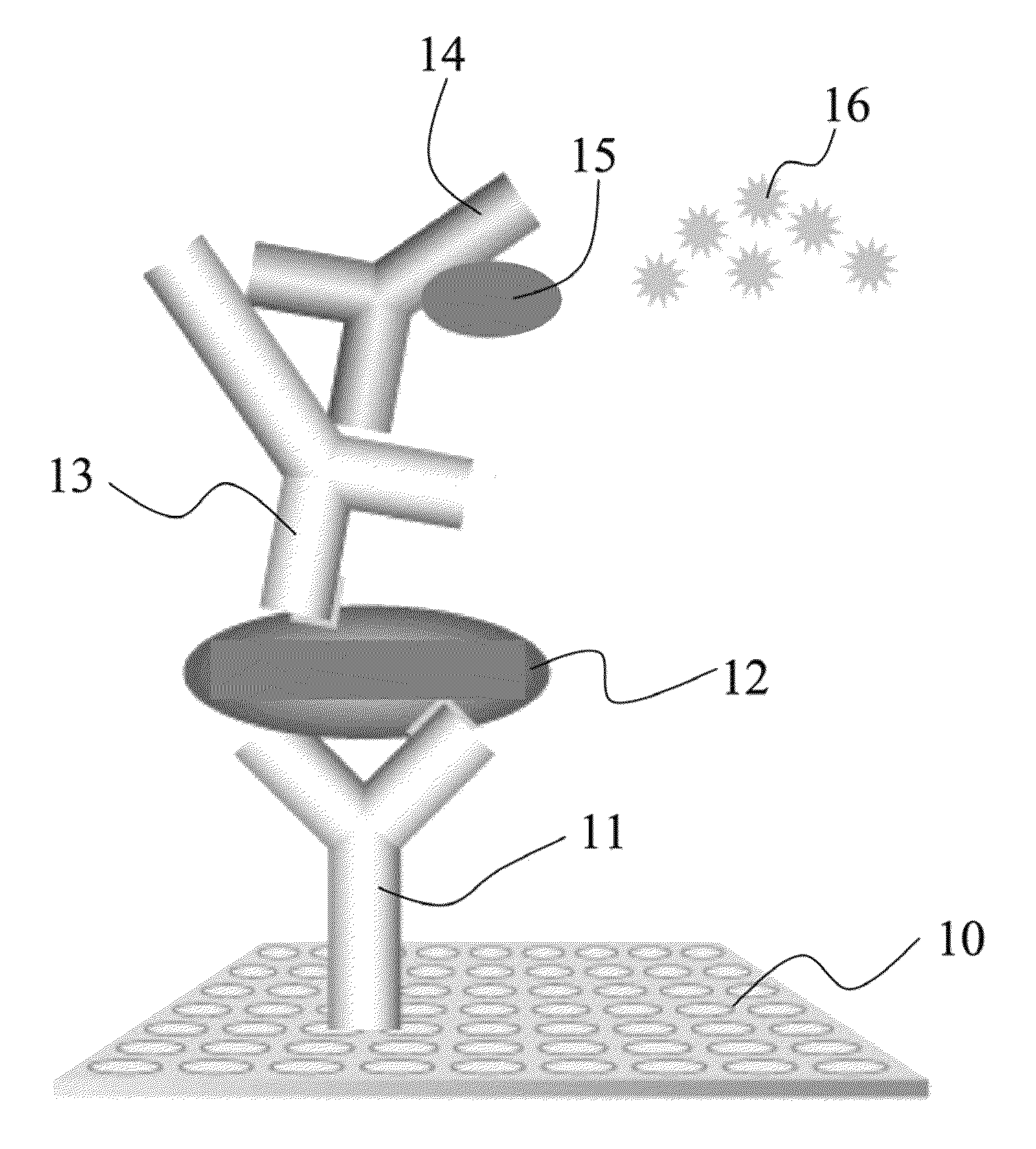 Hybridoma cell line producing monoclonal antibody against foot-and-mouth disease virus, the monoclonal antibody therefrom, immunoassay reagent and kit, and immunoassay method
