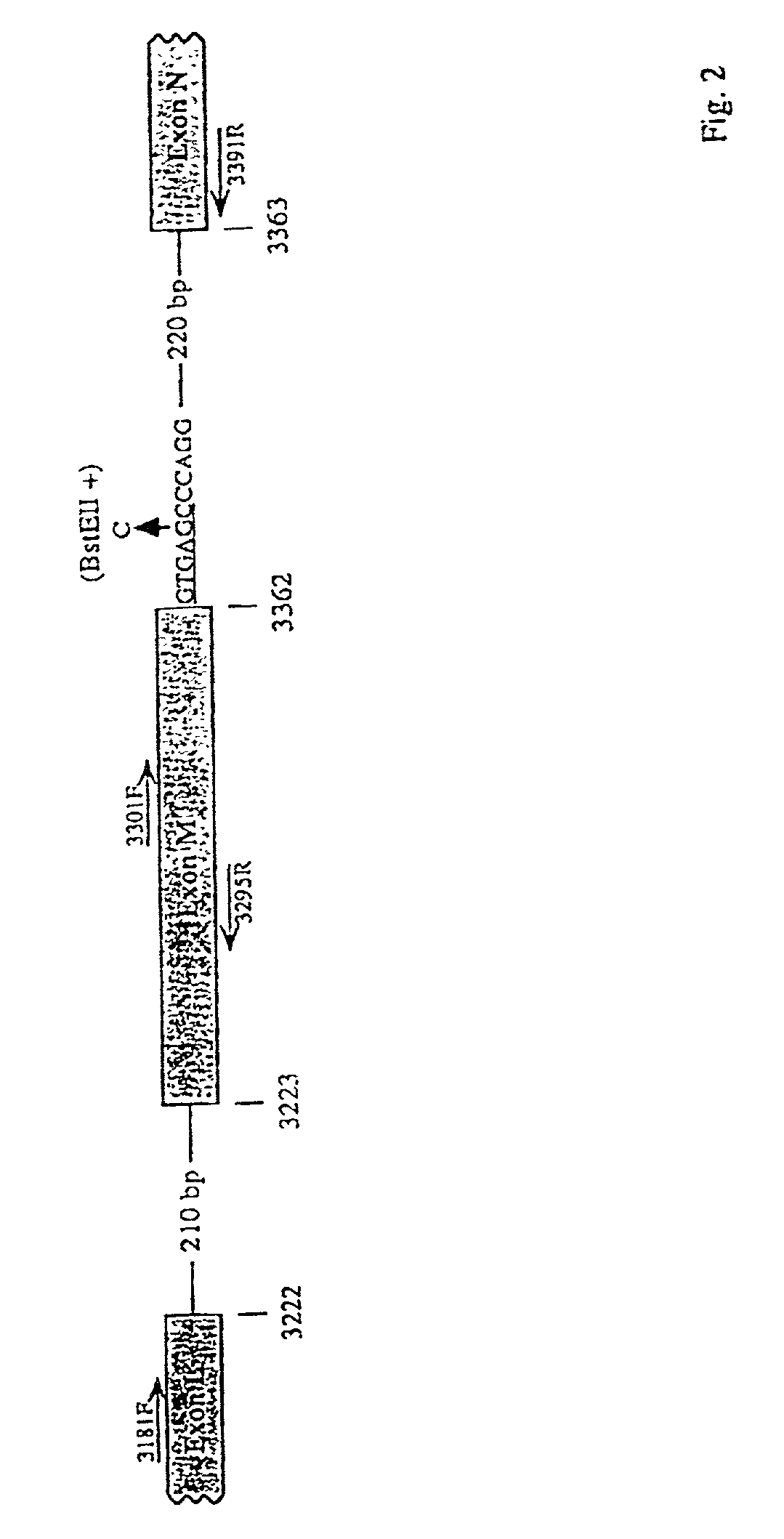 Methods for detecting mutations associated with hypertrophic cardiomyopathy