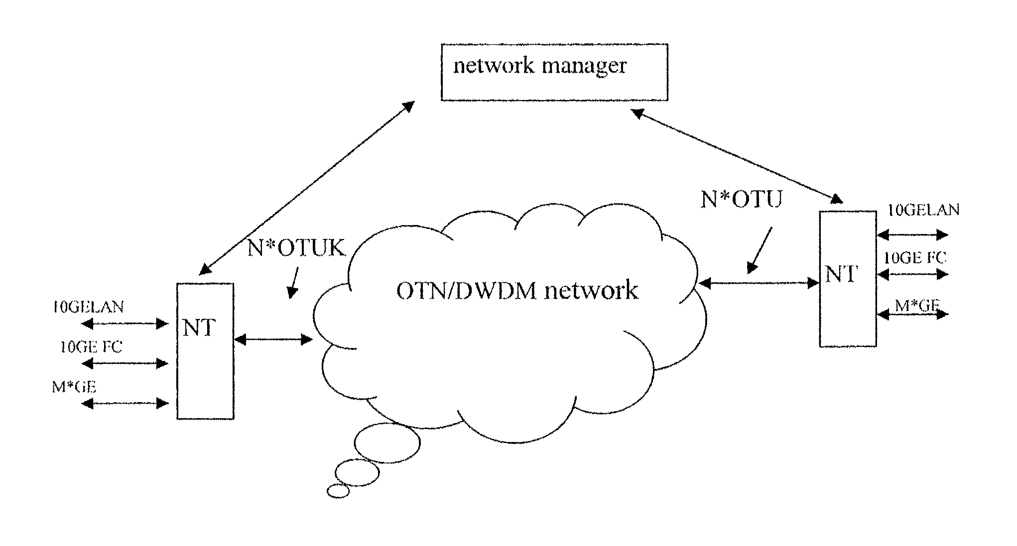 Method and apparatus for transporting local area network signals in optical transport network