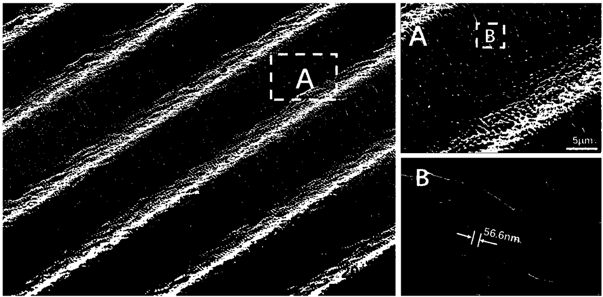 Preparation method of SERS-fluorescence double-mode metal reinforced substrate