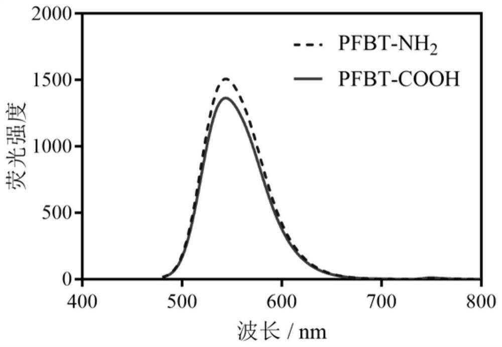 Application of a Fluorescent Conjugated Polymer Nanoprobe in Peripheral Nerve Imaging