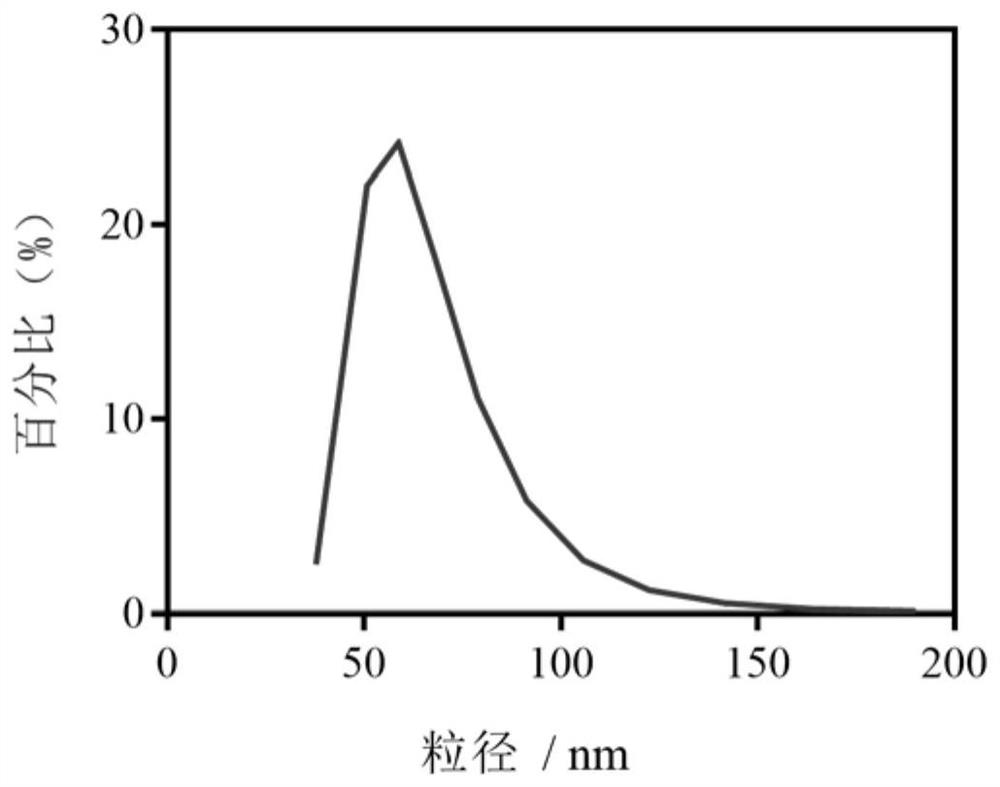 Application of a Fluorescent Conjugated Polymer Nanoprobe in Peripheral Nerve Imaging