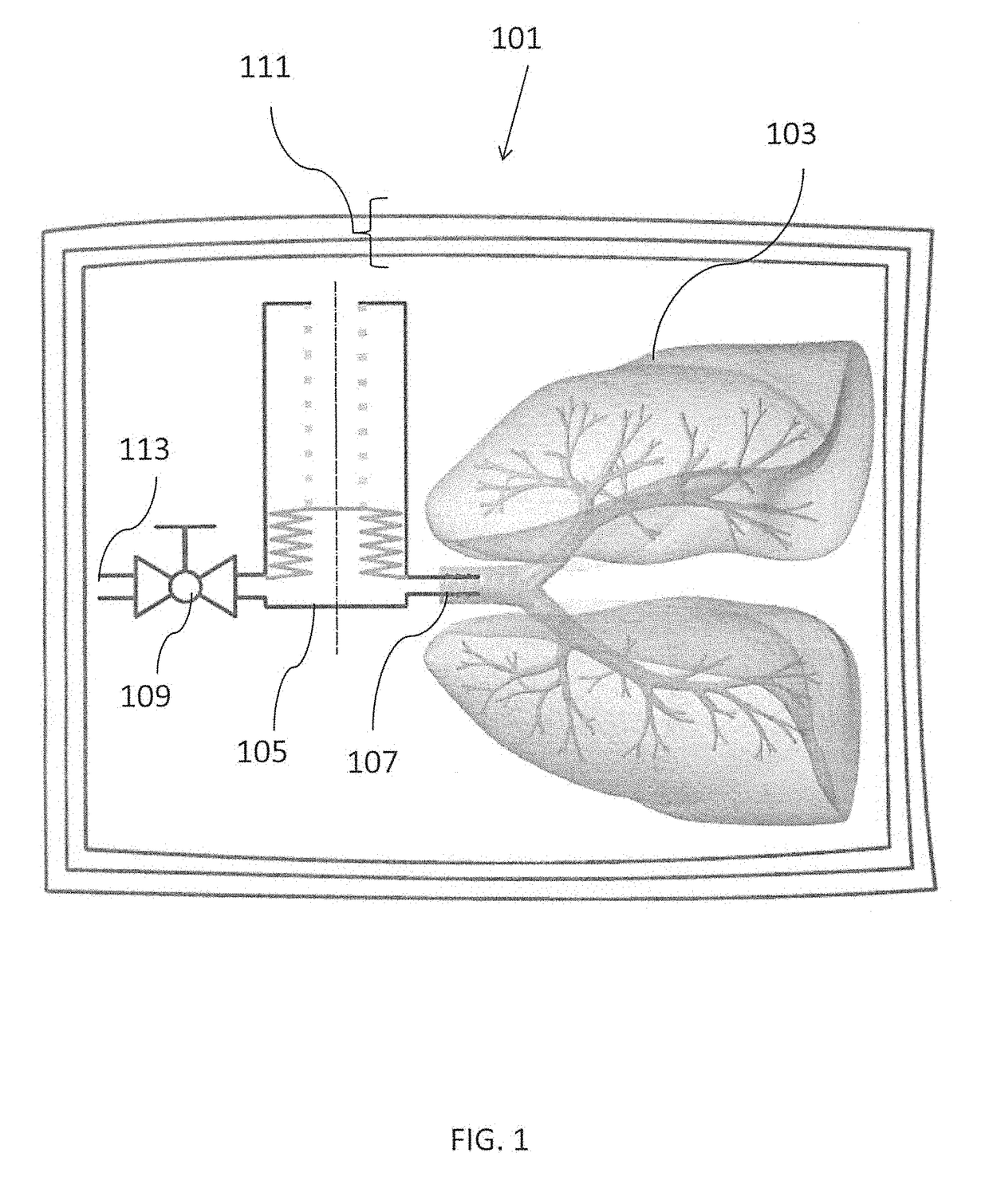 Apparatus for tissue transport and preservation