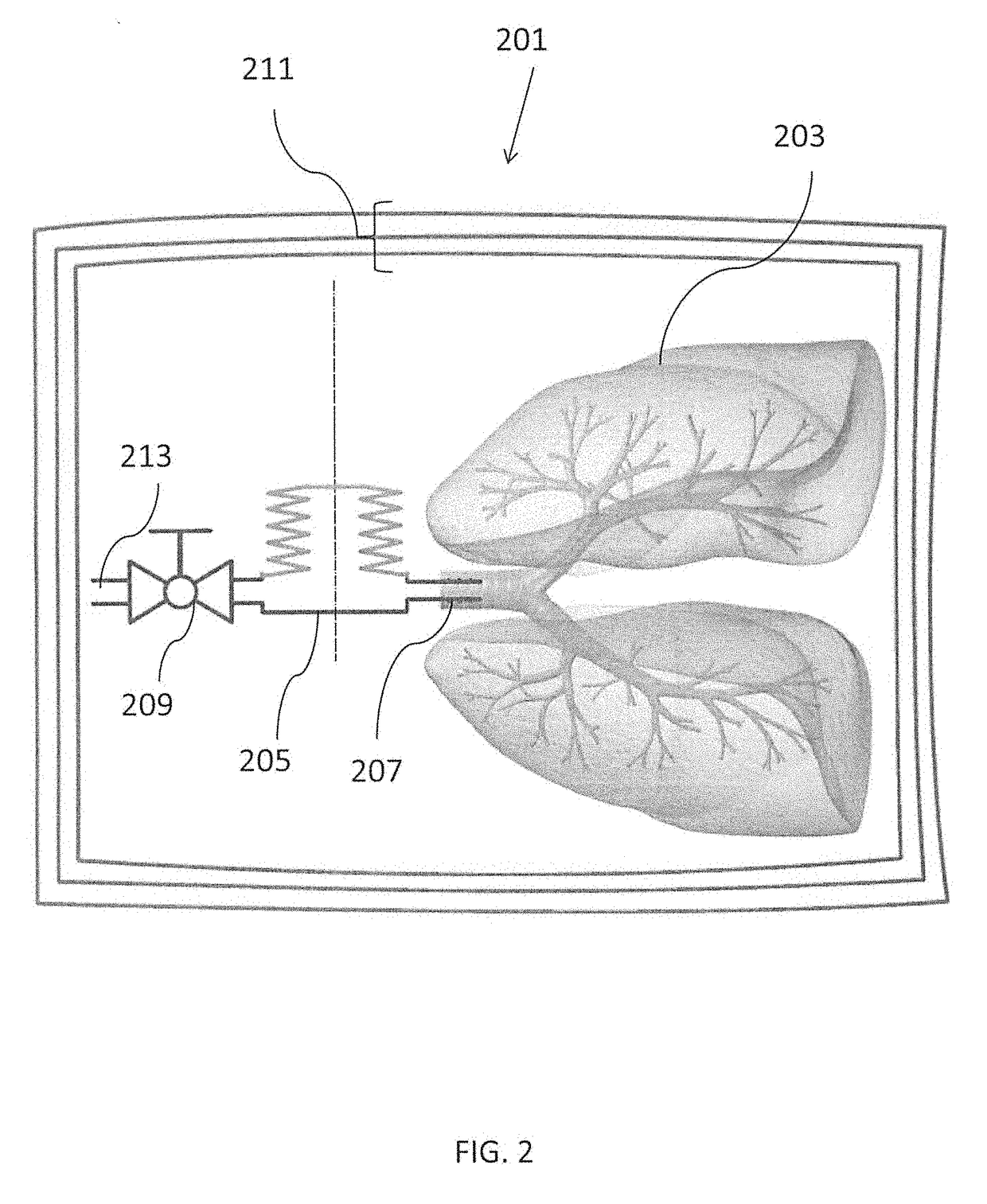 Apparatus for tissue transport and preservation