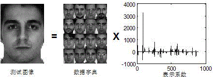 Non-adjacent graph structure sparse face recognizing method