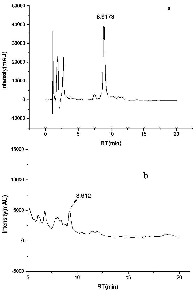 Xiangyang radix ophiopogonis endophytic Fusarium sp. fungus and application in steroid saponin preparation