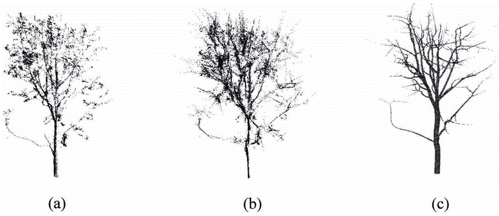 Tree point cloud three-dimensional reconstruction method based on local structure and direction perception