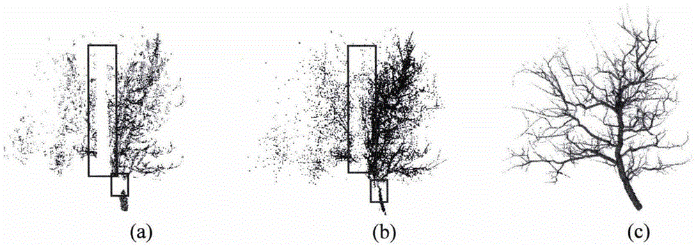 Tree point cloud three-dimensional reconstruction method based on local structure and direction perception
