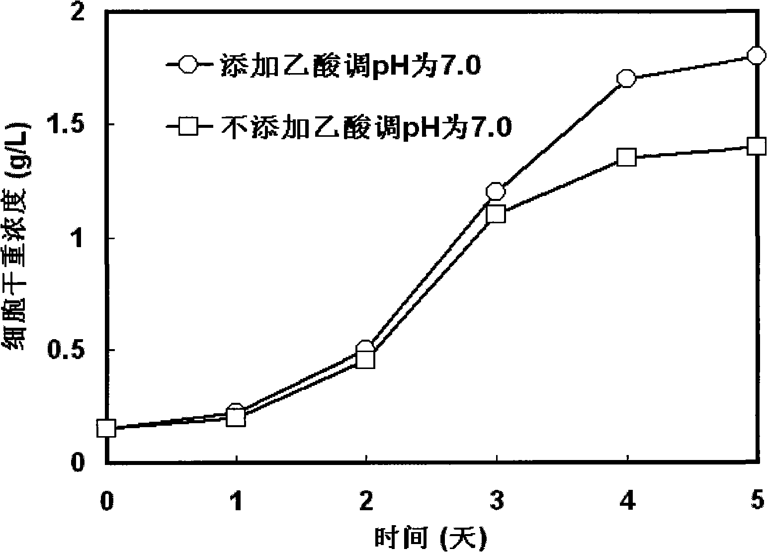 Method for culturing photosynthetic bacteria