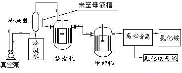 2,4-dinitraniline continuous ammonification production technology