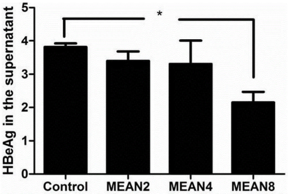 Application of compound mean in the preparation of anti-hbv medicine