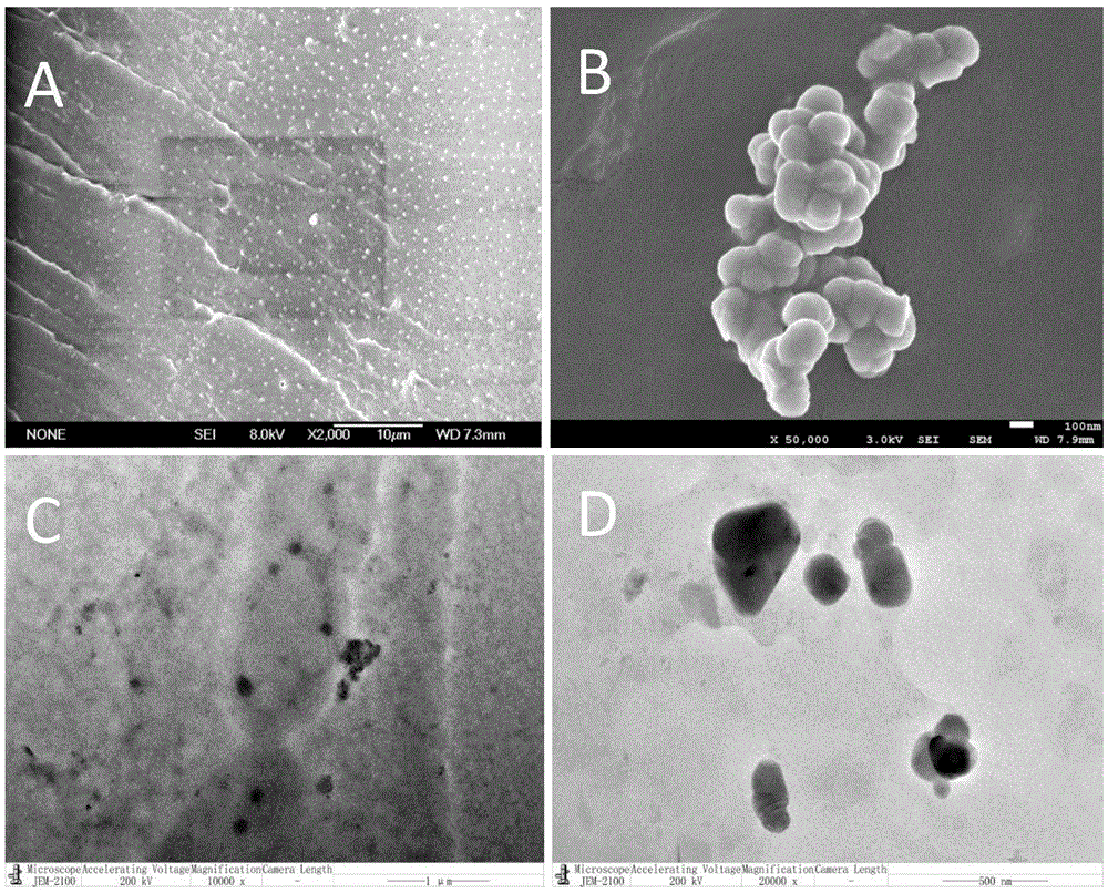 Application of titanate substances to flame-retardant thermoplastic plastic as flame retardant