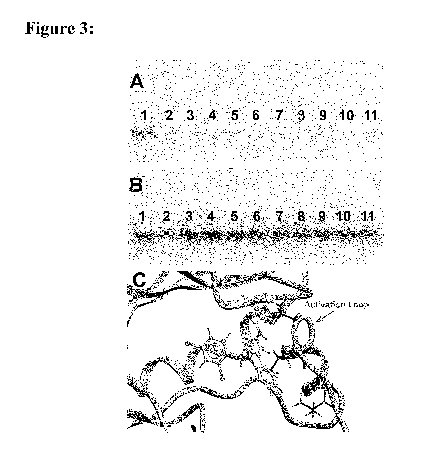 Method of treating cancer by inhibition of protein kinase-like endoplasmic reticulum protein kinase