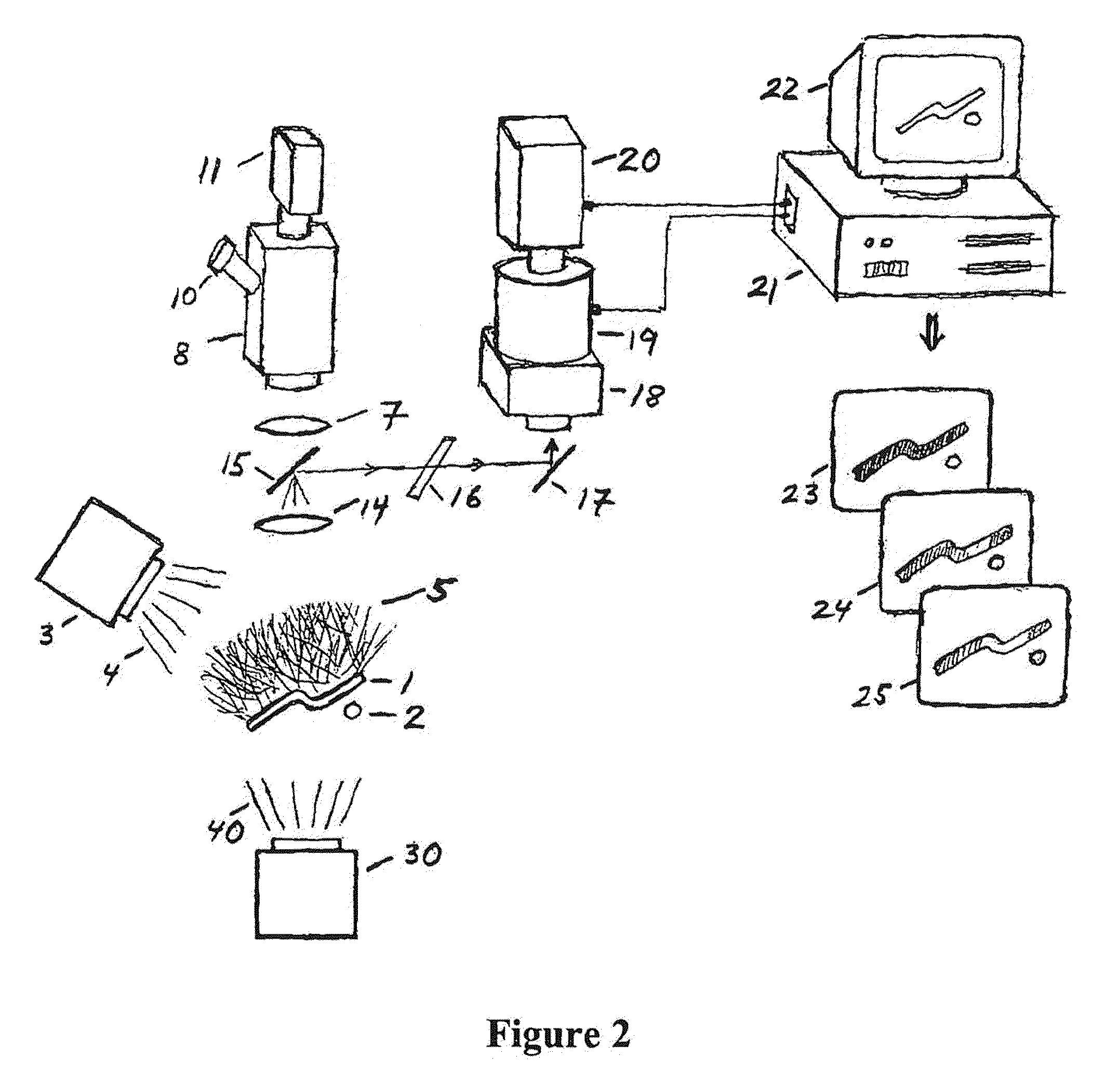 System and Method for Improved Forensic Analysis