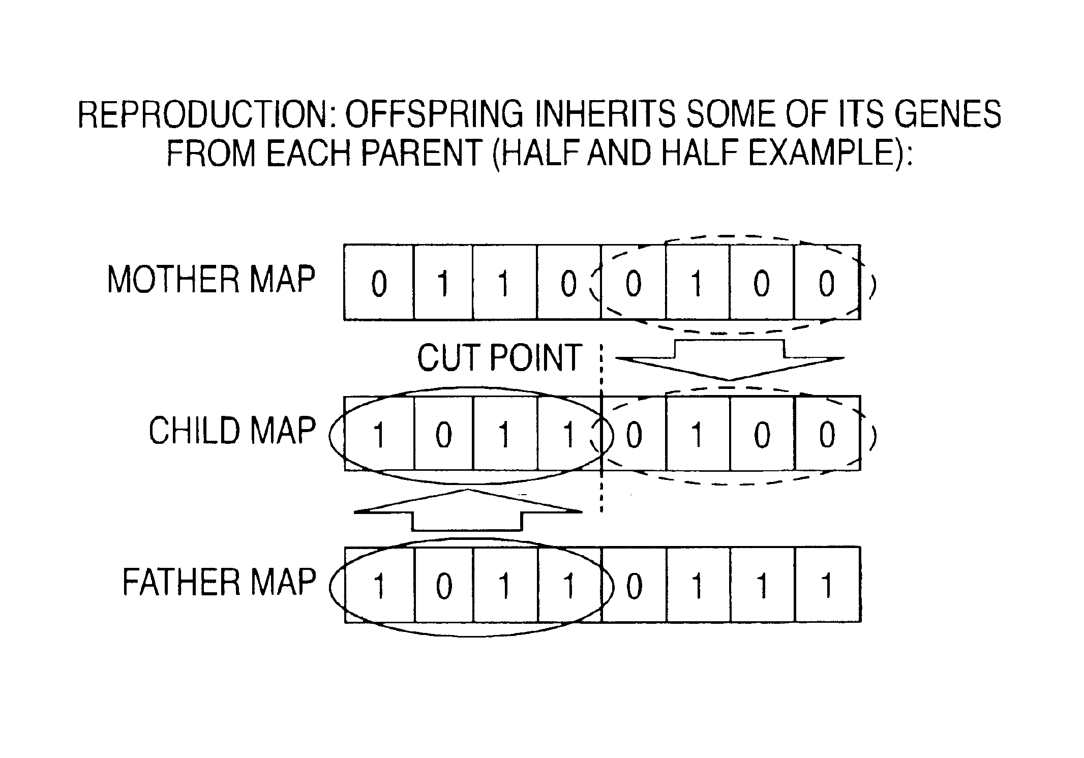 Cochlear implant MAP optimization with use of a genetic algorithm