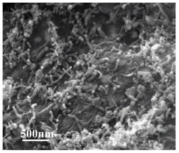 Double-chamber micro-filtration membrane multi-anode microalgae bio-fuel cell