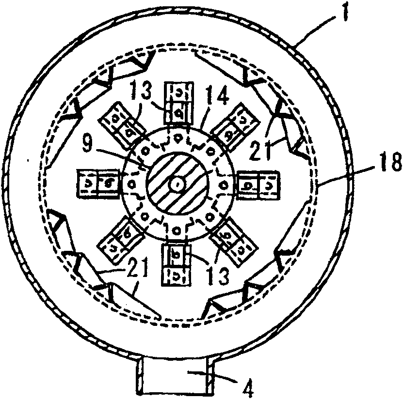 Plastic wastes dry type cleaning apparatus