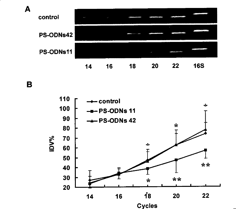 Antisense nucleic acid of resistant and tolerant dimethoxyphenecillin staphylococcus aureus drug resistant gene