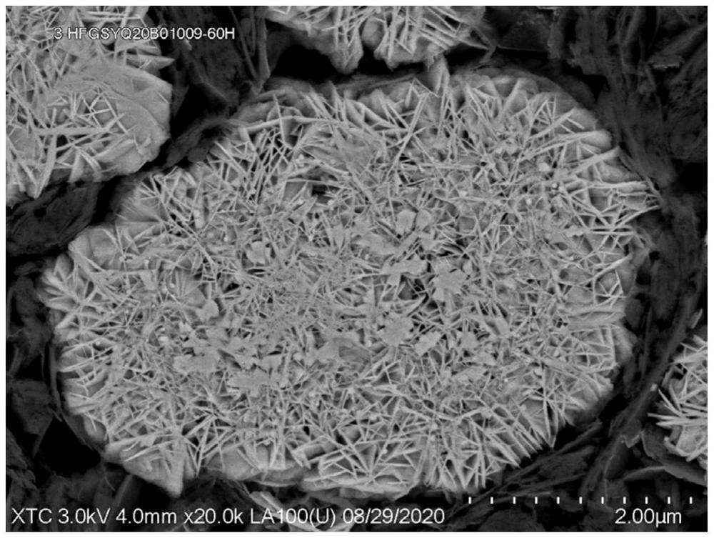 A kind of nickel-cobalt-manganese network structure precursor and nickel-cobalt-manganese composite oxide powder and its preparation method and application