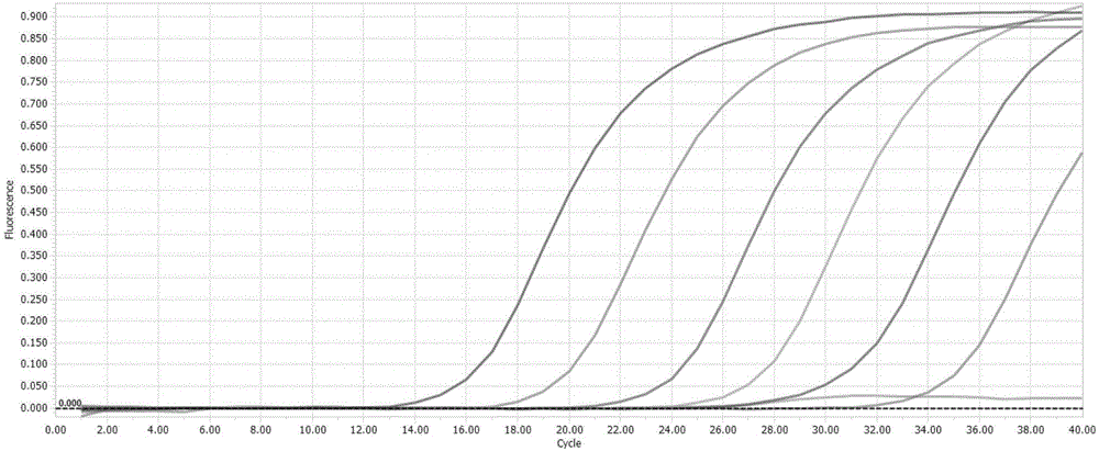 Fluorescent quantitative PCR (Polymerase Chain Reaction) kit for detecting Zaire Ebola virus