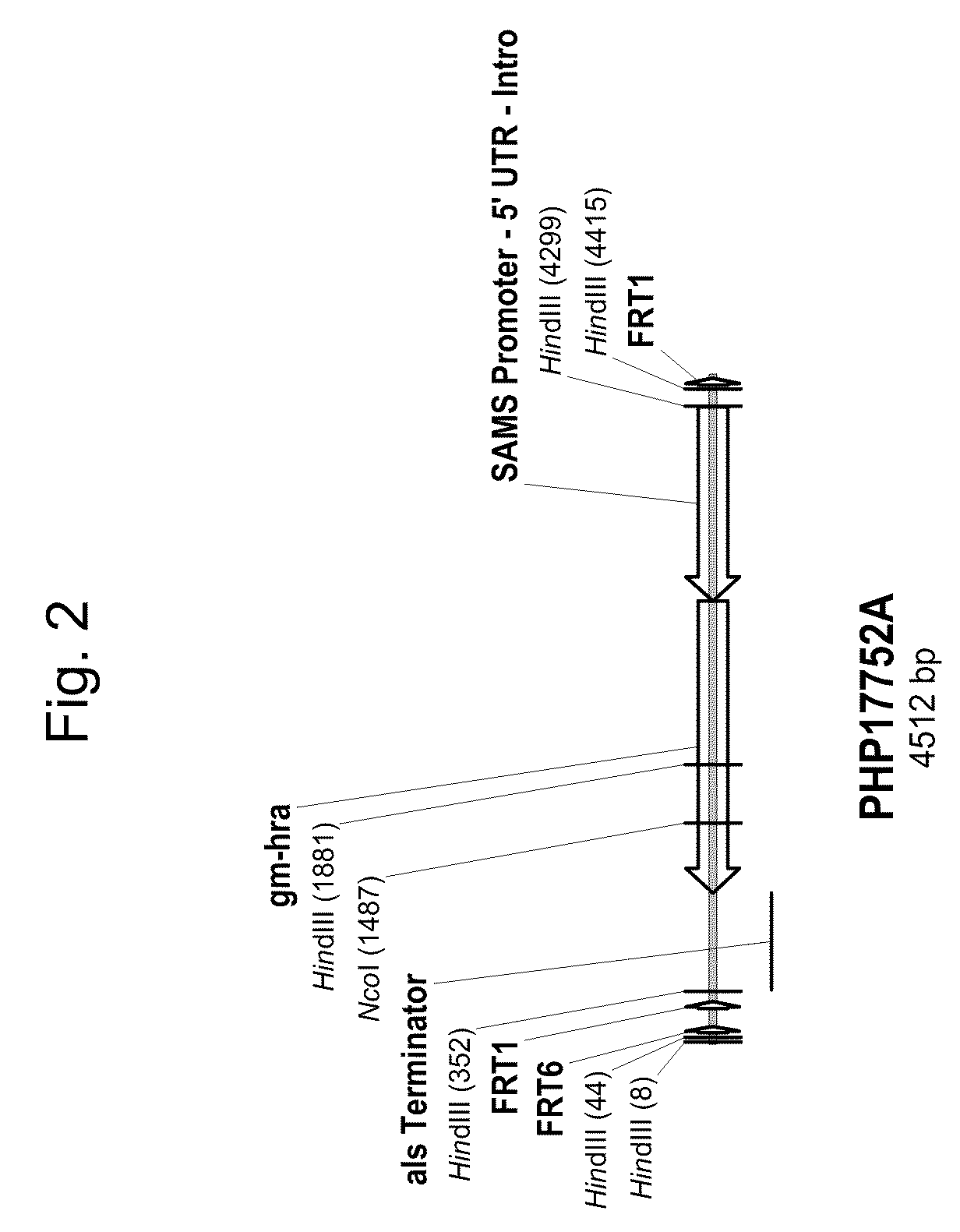 Soybean event dp-305423-1 and compositions and methods for the identification and/or detection thereof