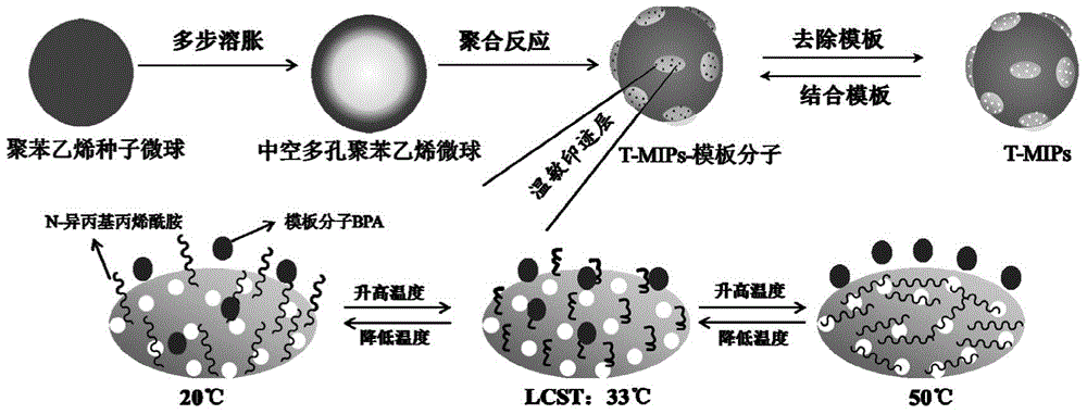 A kind of thermosensitive bisphenol A imprinted polymer microsphere and its application