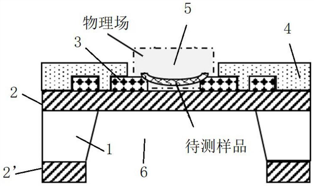 A self-aligned in-situ characterization chip and its preparation and use method