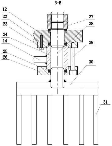 A flexible vibration mechanism for a berry plant fruit harvesting machine