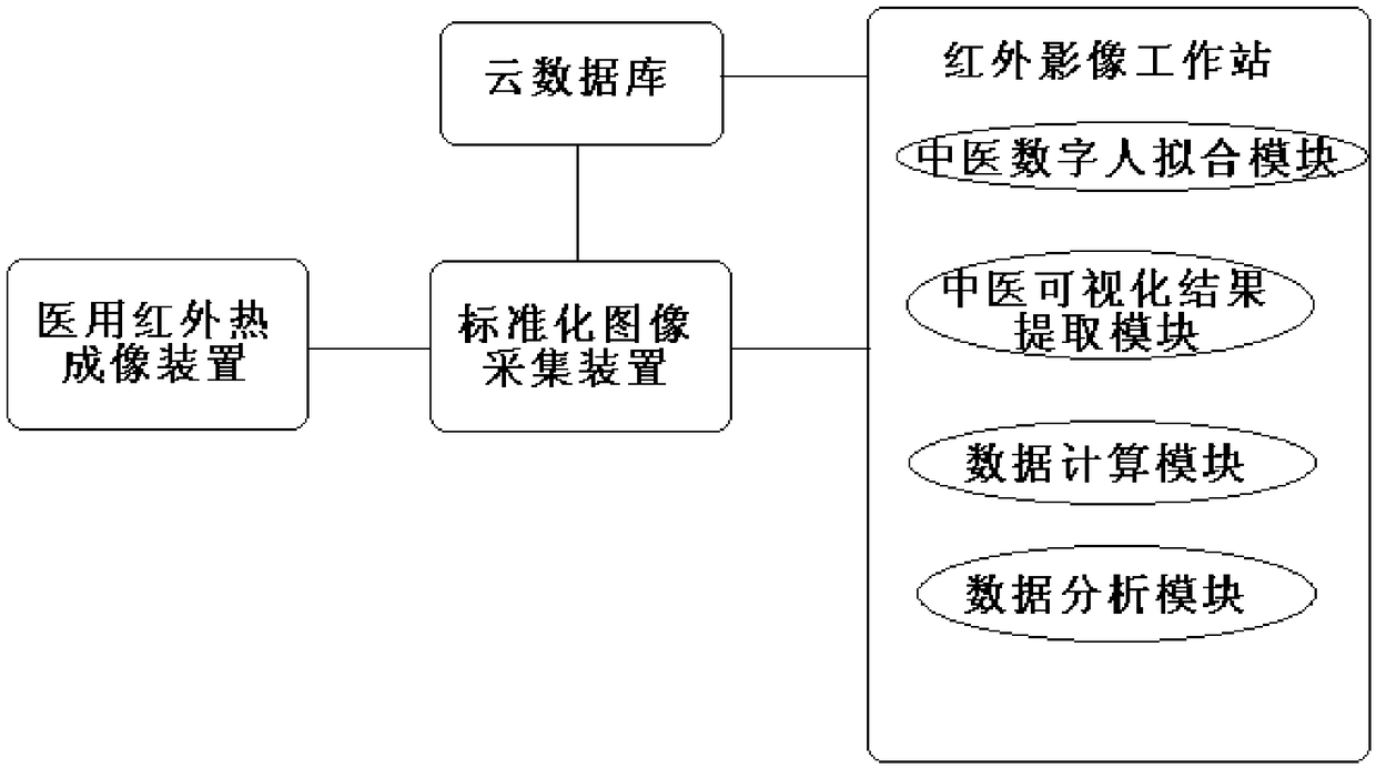 Traditional Chinese medicine digital visualization system and method