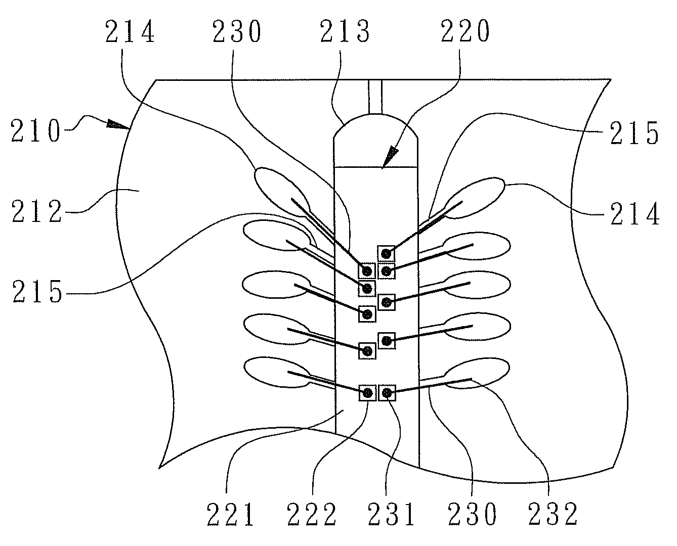 Window type BGA semiconductor package and its substrate