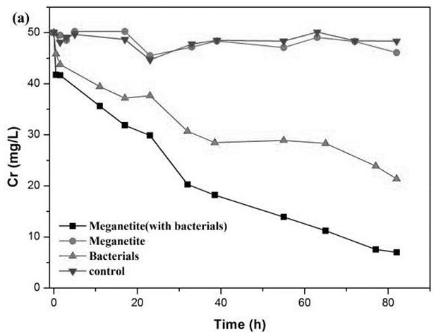 Method for restoring heavy metals by regulating microorganisms through iron-containing minerals