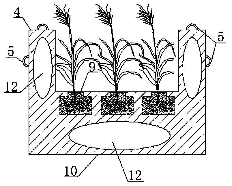 Artificial suspended wetland structure for rural sewage river-entering draining exit and sewage treatment method