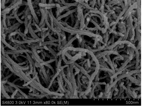 Preparation method of modified multi-wall carbon nano-tube material