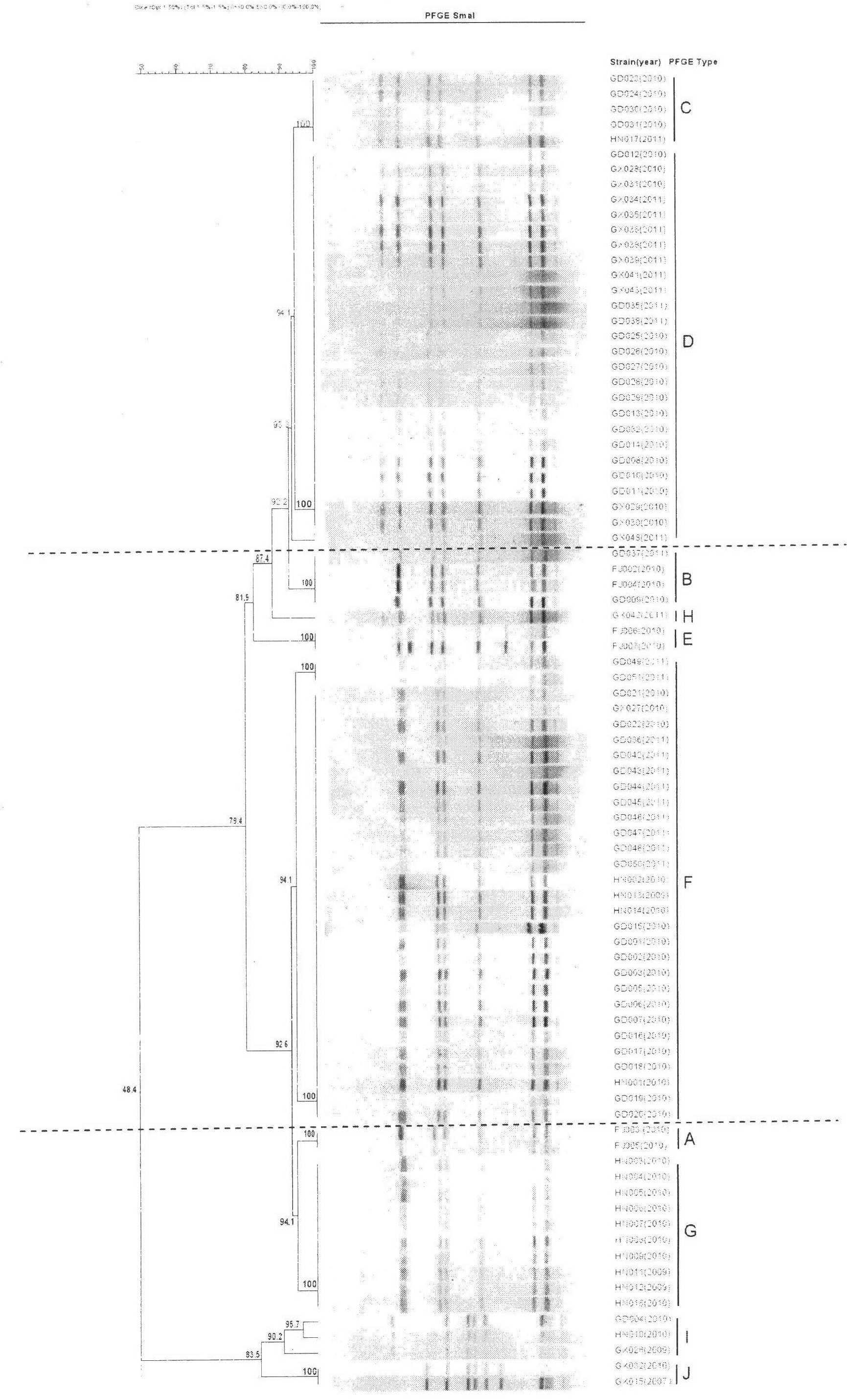 Method for screening candidate bacterial strain from fish streptococcus agalactiae vaccine