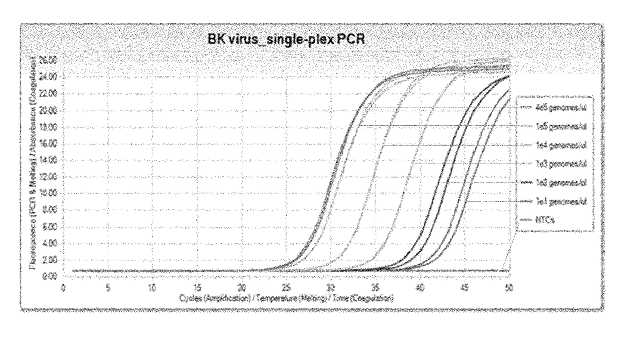 Compositions and methods for detection of bk virus