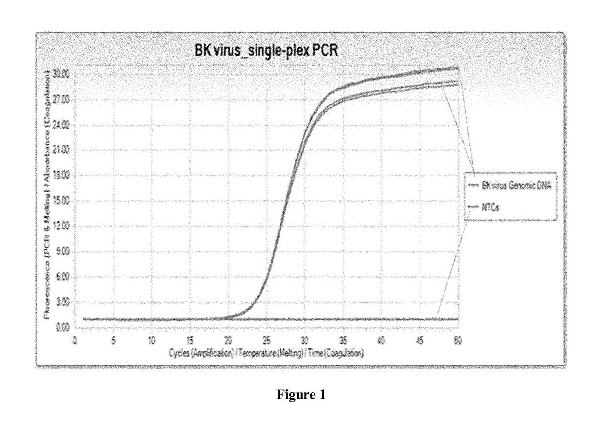 Compositions and methods for detection of bk virus